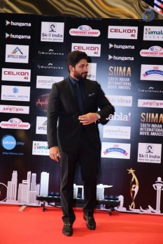 SIIMA 2016 Awards Photos - 12 of 25