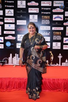 SIIMA 2016 Awards Photos - 22 of 25