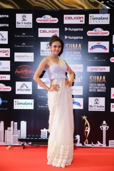 SIIMA 2016 Awards Photos - 25 of 25