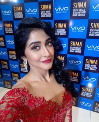 SIIMA Awards 2017 Gallery - 28 of 97