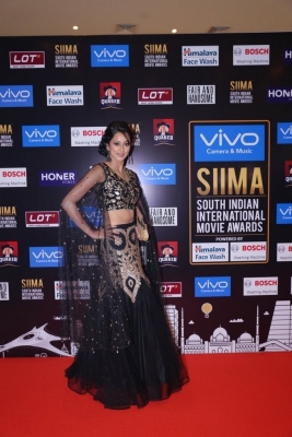 SIIMA Awards 2017 Gallery - 69 of 97