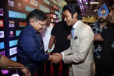 SIIMA Awards 2019 Day2 - 50 of 73