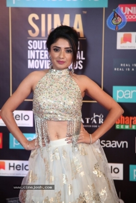 SIIMA Awards 2019 Day2 - 55 of 73