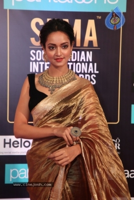 SIIMA Awards 2019 Day2 - 60 of 73