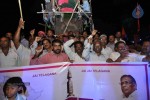 Telangana Formation Celebrations  - 173 of 319