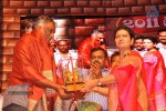 TV Nandi Awards 2011 - 66 of 326