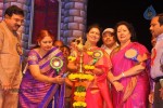 TV Nandi Awards 2011 - 130 of 326