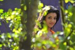 Kajal Agarwal Spicy Stills