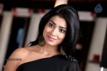 Shriya Hot Photos