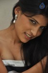 Shweta Pandit Hot Stills