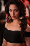 Tamanna New Spicy Stills