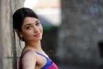 Tamanna Spicy Photos