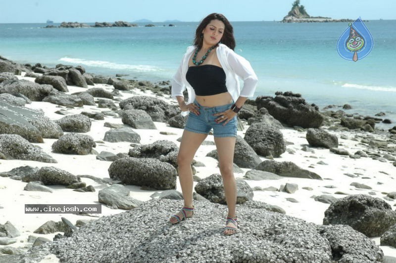 Aditi Agarwal Spicy Stills - 45 / 66 photos