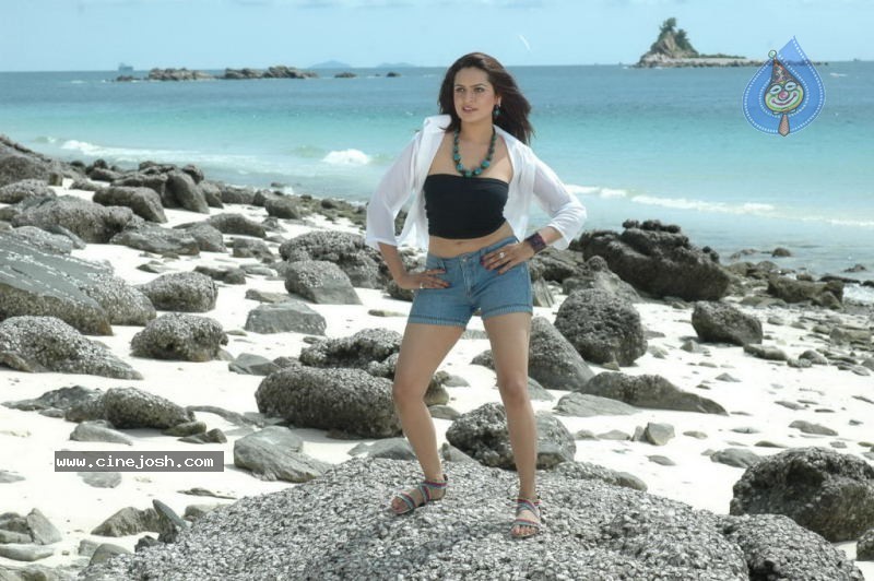 Aditi Agarwal Spicy Stills - 62 / 66 photos