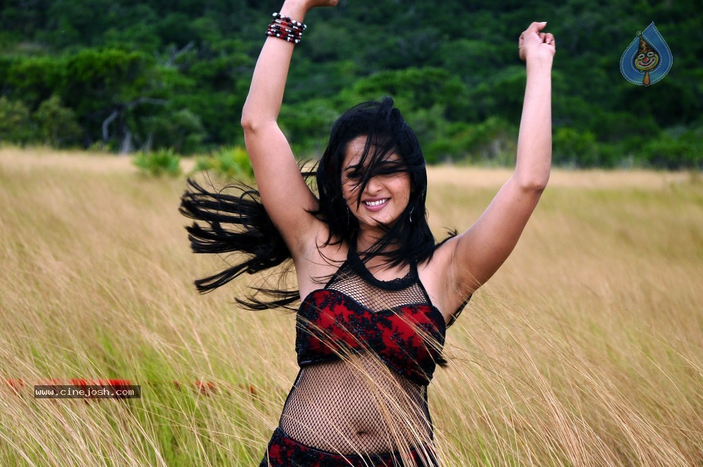 Anushka Hot Gallery - 70 / 74 photos