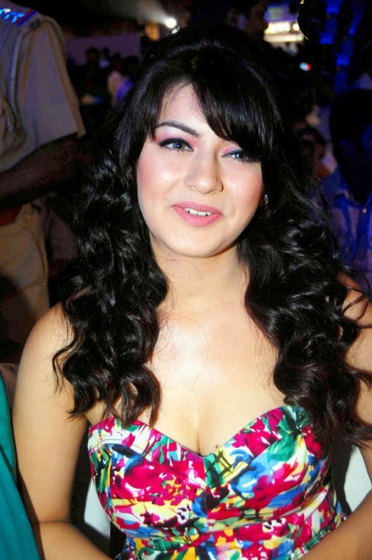 Hansika Motwani Spicy Stills - 19 / 33 photos