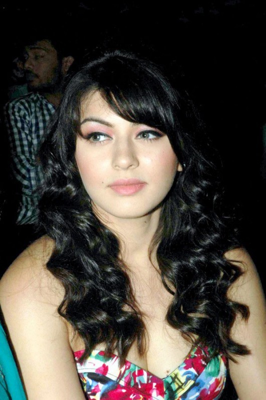 Hansika Motwani Spicy Stills - 21 / 33 photos