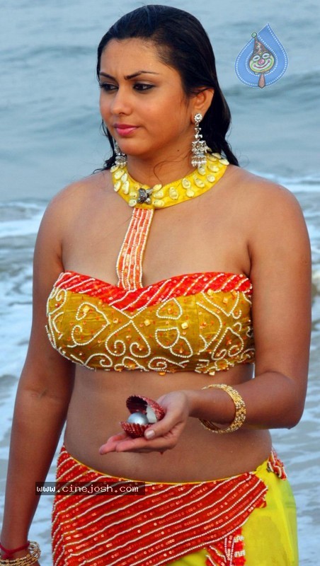 Namitha Spicy Gallery - 46 / 61 photos