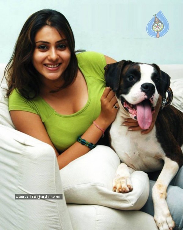 Namitha Spicy Gallery - 53 / 61 photos