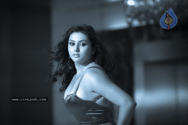 Namitha Spicy Photos - 4 / 14 photos