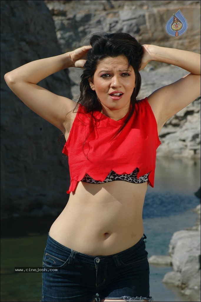 Parinidhi Spicy Stills - 26 / 97 photos