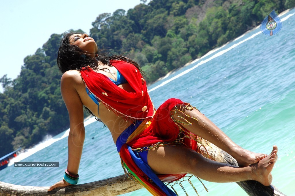 Priyamani Hot Photos - 4 / 82 photos