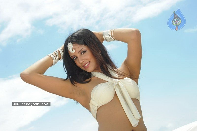 Rithika Hot Stills - 45 / 134 photos