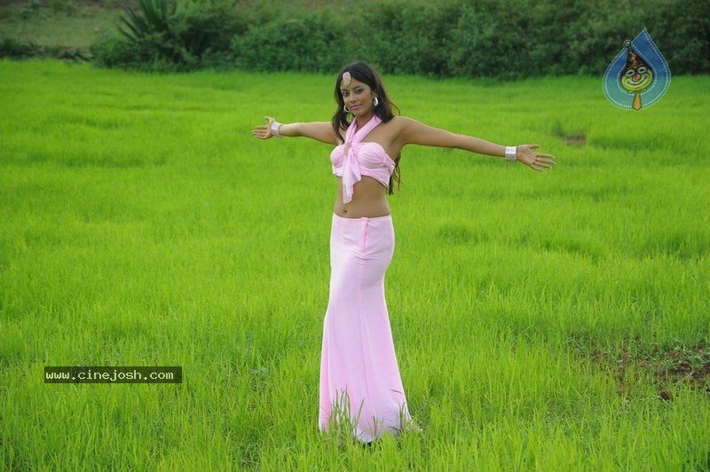 Rithika Hot Stills - 64 / 134 photos