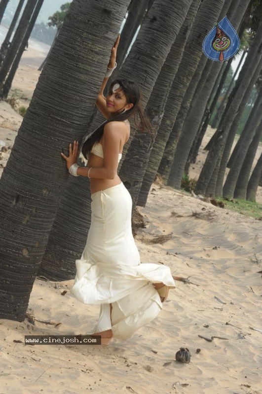 Rithika Hot Stills - 77 / 134 photos