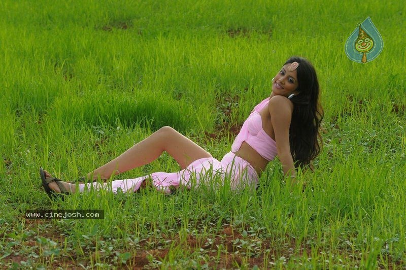 Rithika Hot Stills - 98 / 134 photos