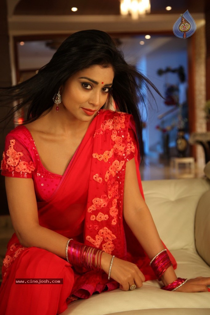 Shriya Hot Photos - 30 / 64 photos