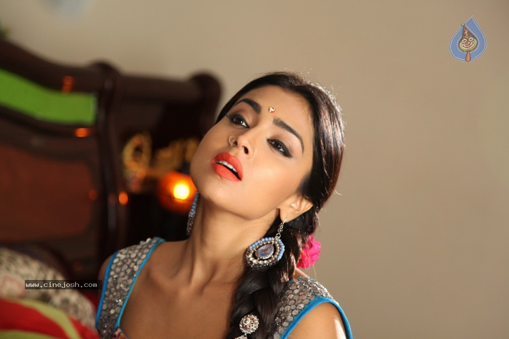 Shriya Hot Photos - 31 / 64 photos