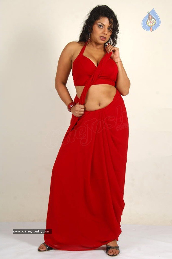 Swathika Spicy Stills - 53 / 84 photos