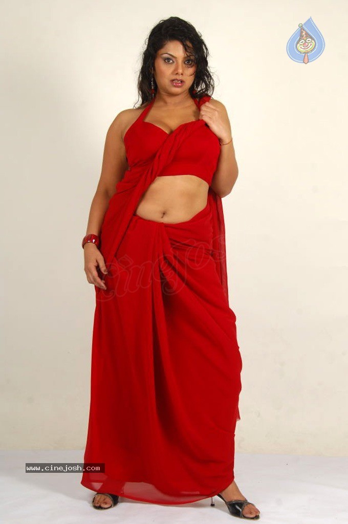 Swathika Spicy Stills - 69 / 84 photos