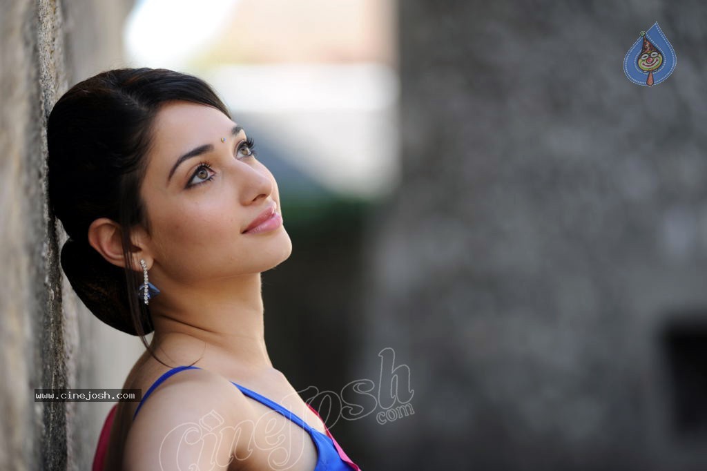 Tamanna Spicy Photos - 16 / 97 photos