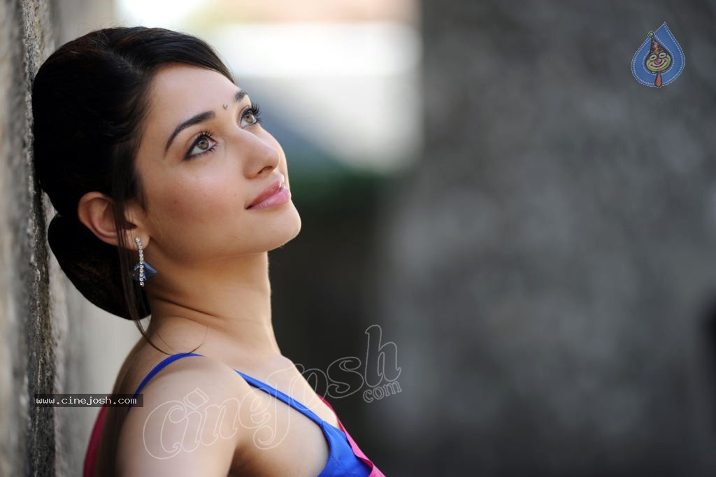 Tamanna Spicy Photos - 19 / 97 photos