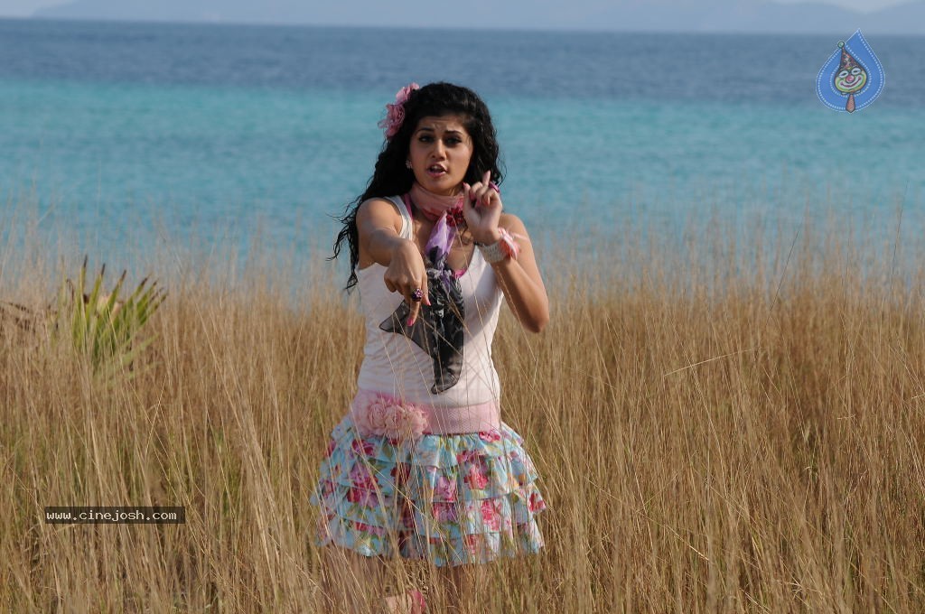 Tapsee Hot Gallery - 35 / 52 photos