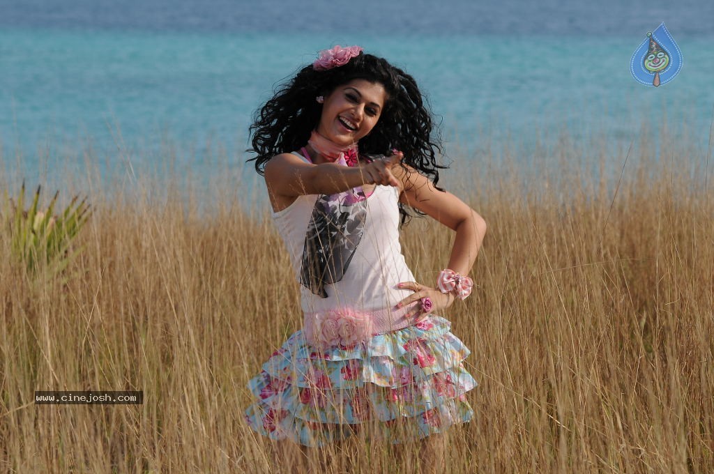 Tapsee Hot Gallery - 50 / 52 photos