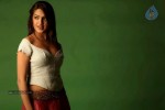 Aditi Agarwal Spicy Stills - 61 of 68