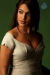 Aditi Agarwal Spicy Stills - 25 of 68