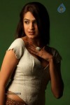 Aditi Agarwal Spicy Stills - 49 of 68