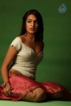 Aditi Agarwal Spicy Stills - 52 of 68