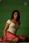 Aditi Agarwal Spicy Stills - 58 of 68