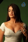 Aditi Agarwal Spicy Stills - 36 of 38