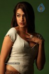 Aditi Agarwal Spicy Stills - 38 of 38