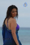 Anjana Sukhani Hot Stills - 34 of 25