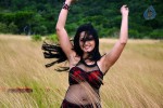 Anushka Hot Gallery - 70 of 74