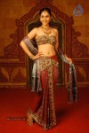 Divya Spicy Stills - 65 of 94