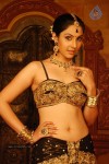 Divya Spicy Stills - 67 of 94