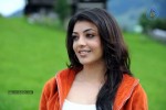 Kajal Agarwal Spicy Photos - 42 of 55